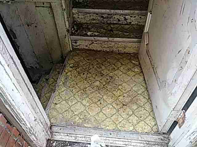 Testing again(52).jpg